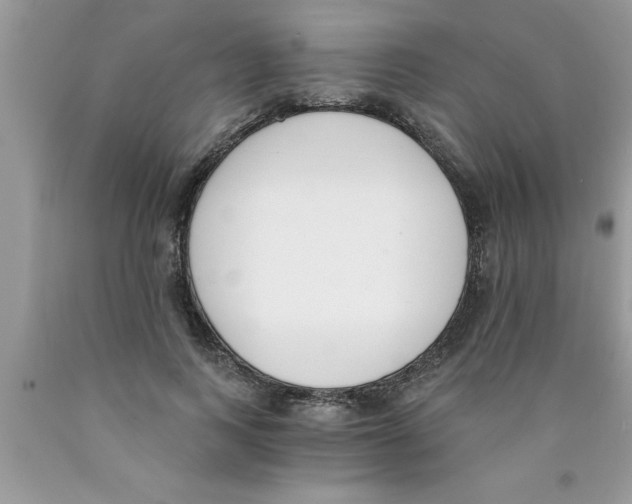 X0000089850743200707262107