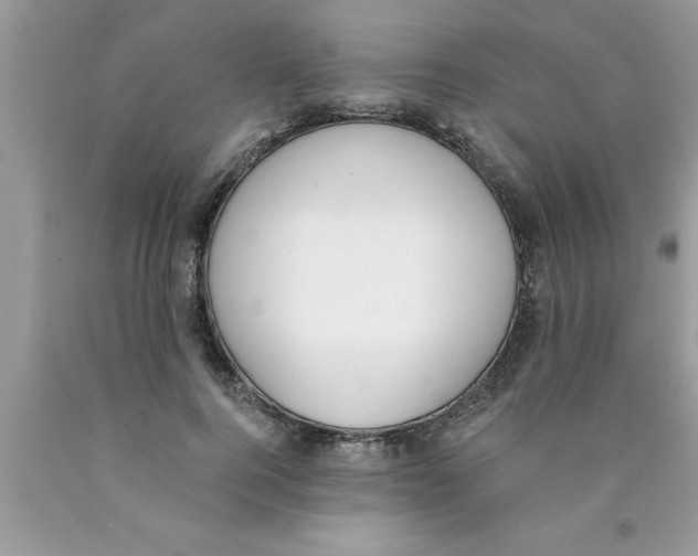 X0000089850744200707262107