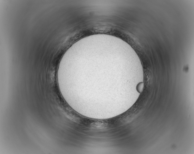 X0000089850745200707262107