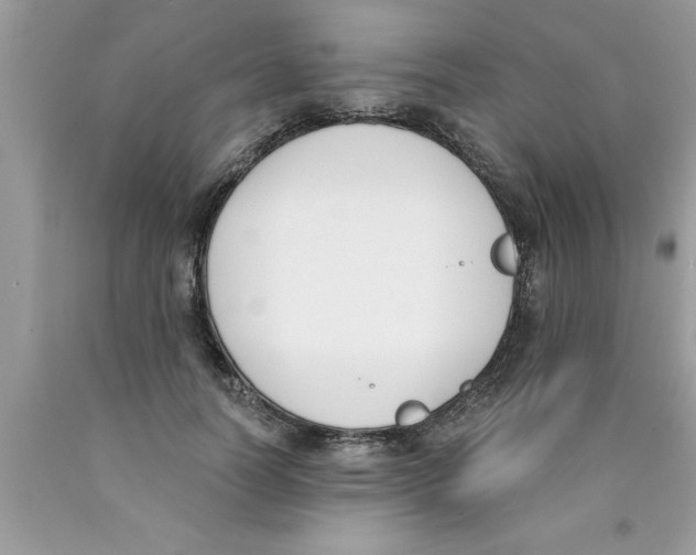 X0000089850746200707262107