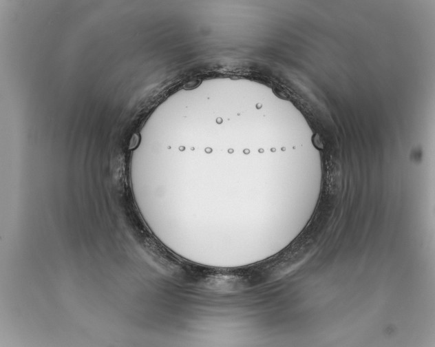 X0000089850748200707262107