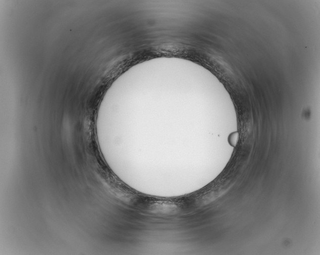 X0000089850749200707262107