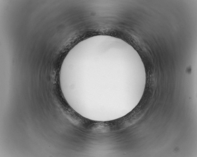 X0000089850750200707262107