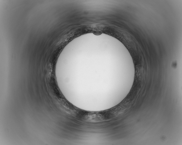 X0000089850752200707262107