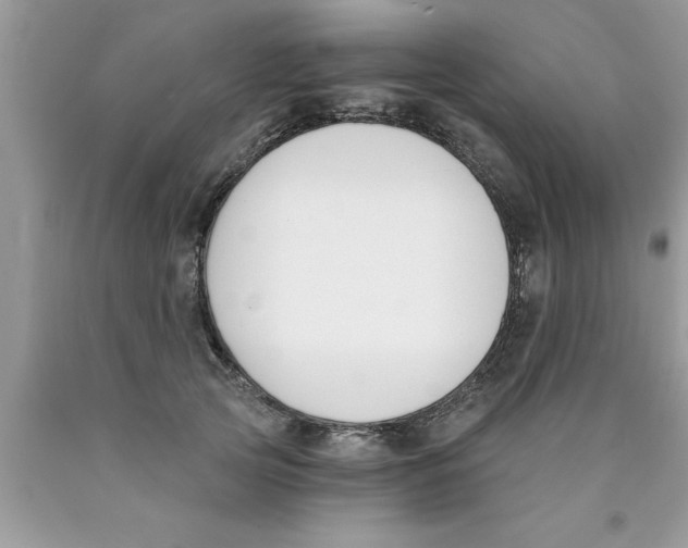 X0000089850753200707262107