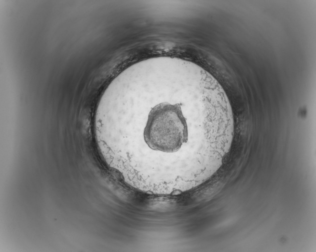 X0000089850754200707262107