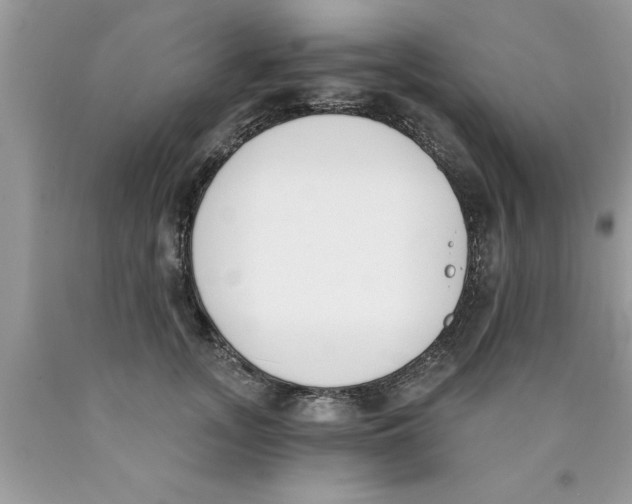 X0000089850755200707262107