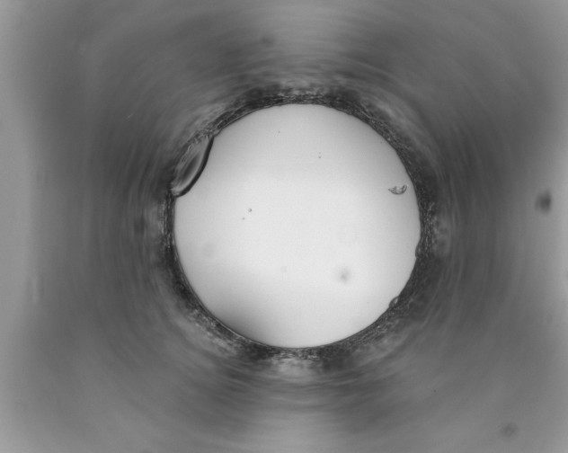 X0000089850756200707262107