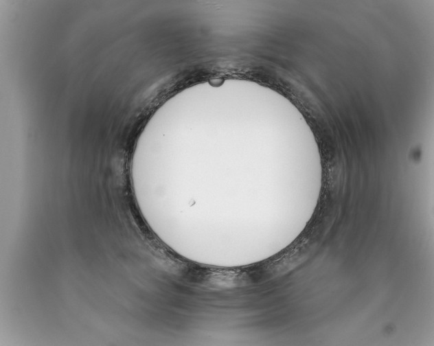 X0000089850757200707262107