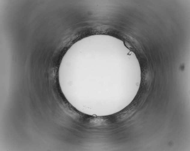 X0000089850759200707262107