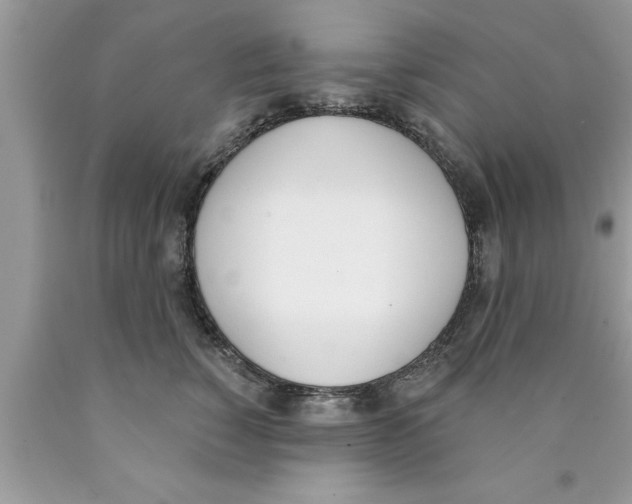 X0000089850760200707262107