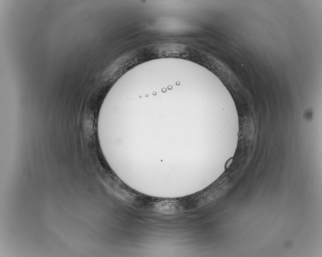 X0000089850761200707262107