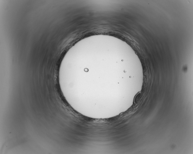 X0000089850762200707262107