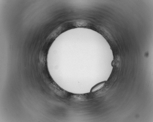 X0000089850763200707262107