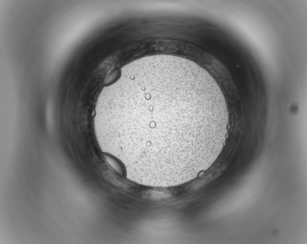 X0000089850765200707262107