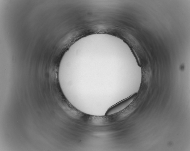 X0000089850766200707262107