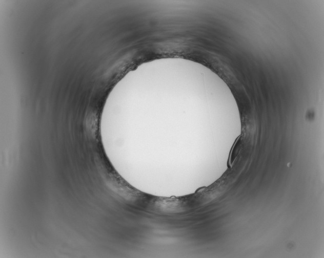 X0000089850767200707262107