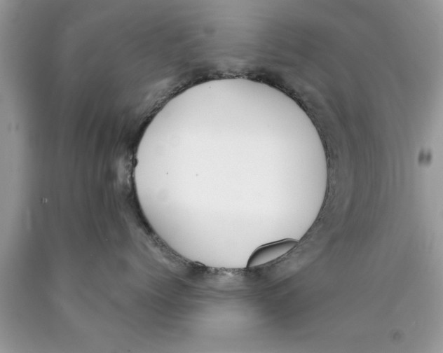 X0000089850768200707262107