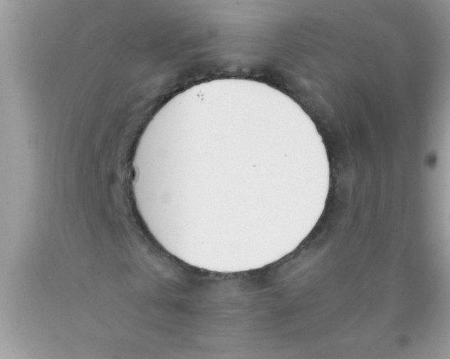 X0000089850769200707262107