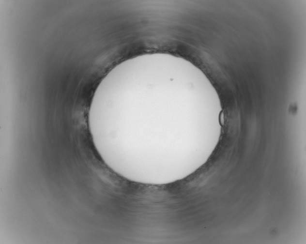 X0000089850770200707262107