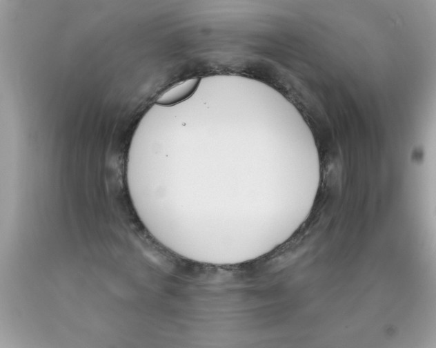 X0000089850772200707262107