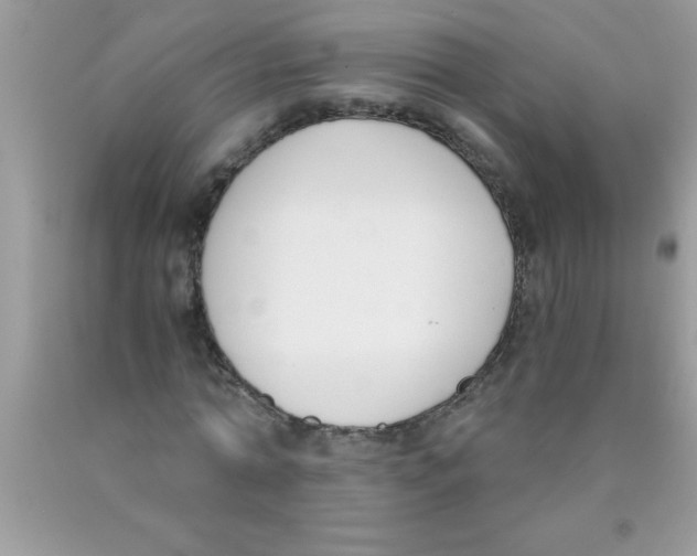 X0000089850774200707262107