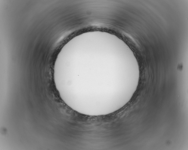 X0000089850776200707262107