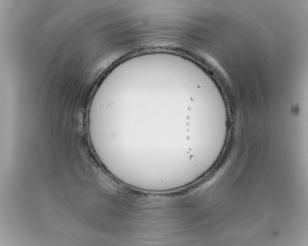 X0000089850777200707262107