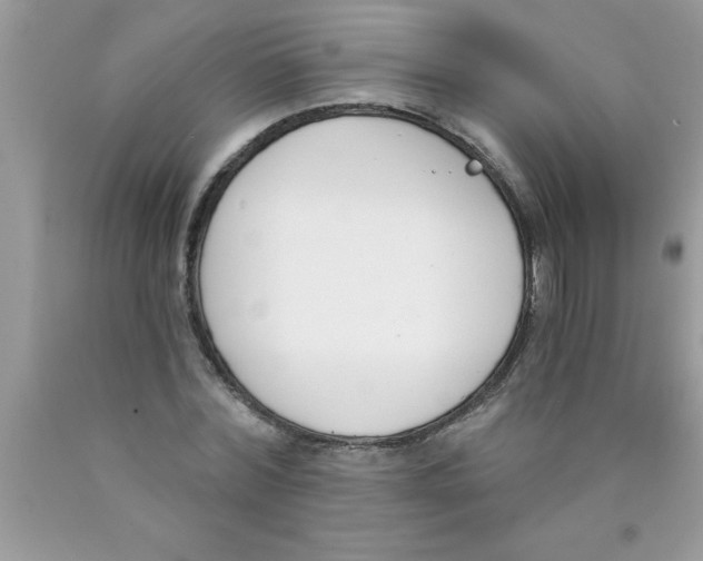 X0000089850780200707262107