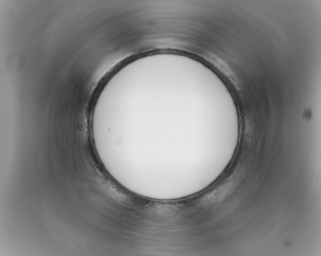 X0000089850782200707262107