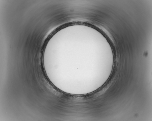 X0000089850783200707262107