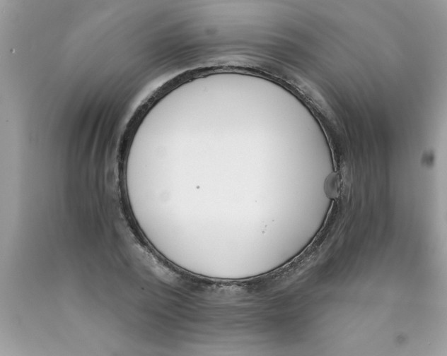 X0000089850784200707262107