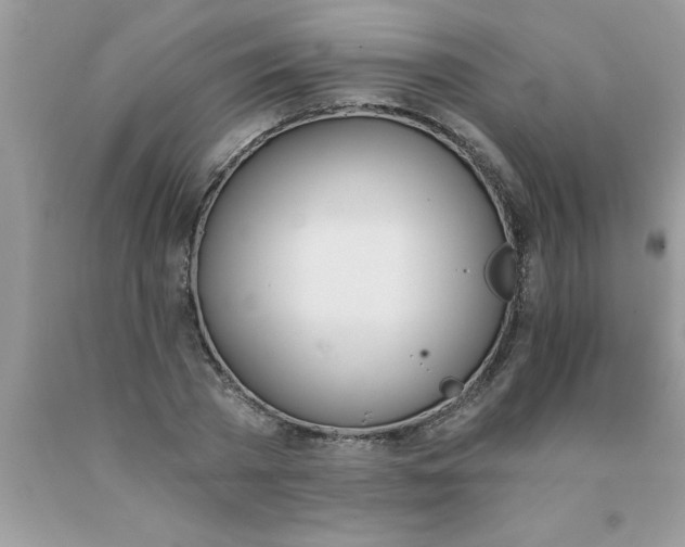 X0000089850785200707262107