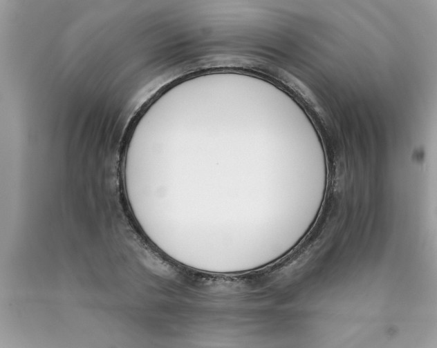 X0000089850786200707262107