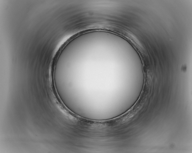 X0000089850788200707262107