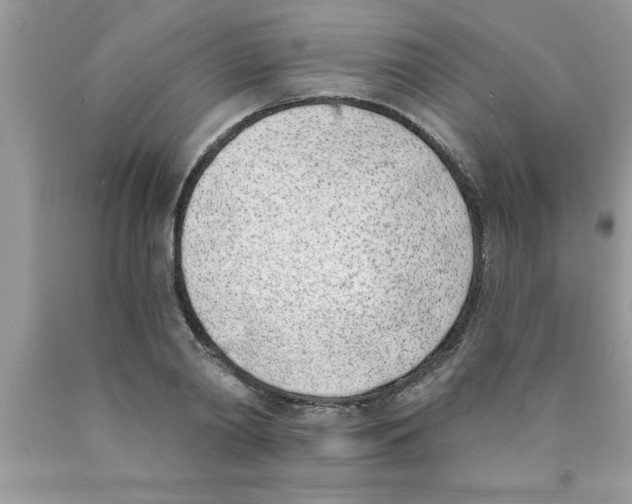 X0000089850790200707262107