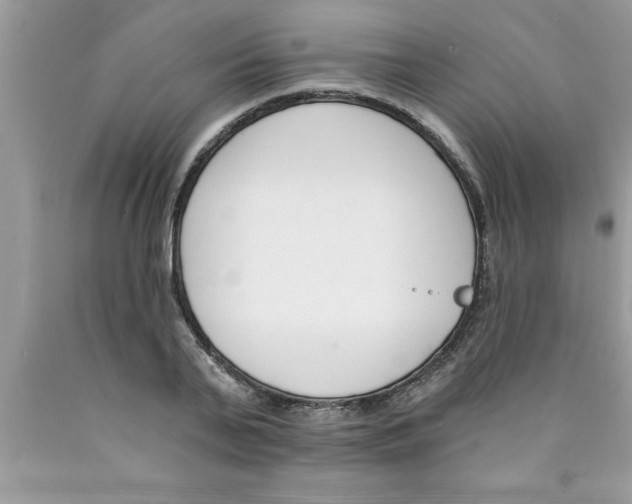 X0000089850791200707262106