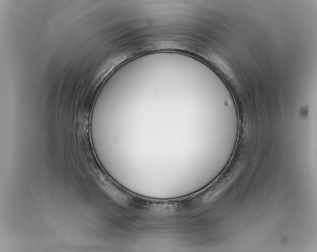 X0000089850793200707262106