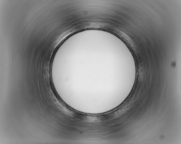 X0000089850794200707262106