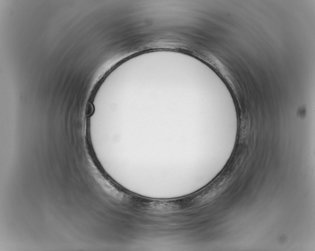 X0000089850795200707262106