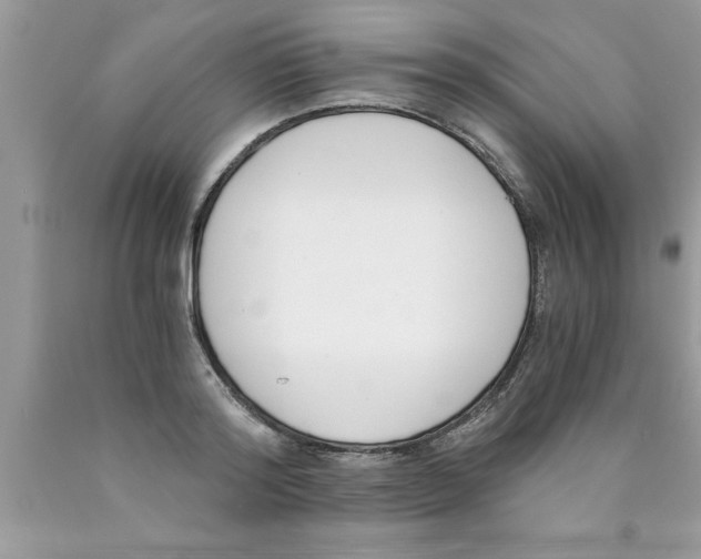 X0000089850796200707262106