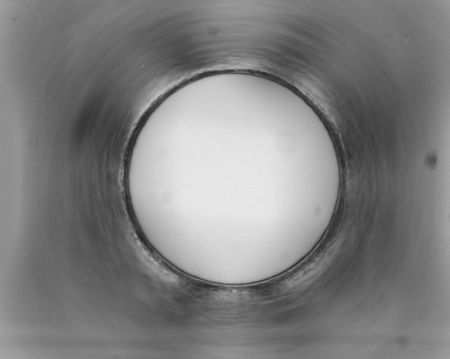 X0000089850797200707262106