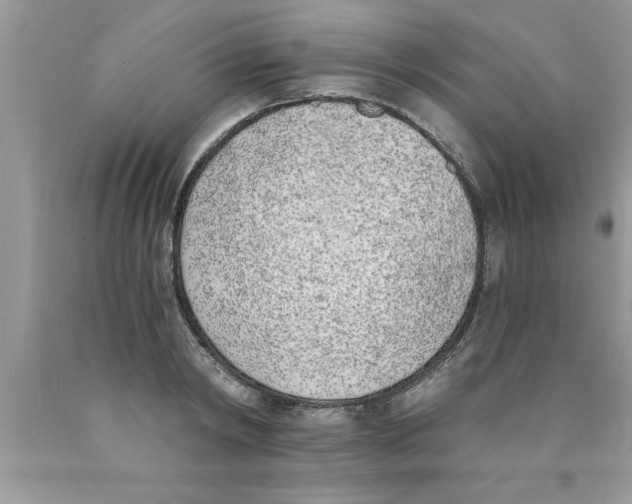 X0000089850798200707262106