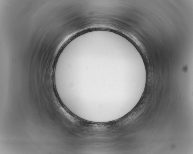 X0000089850799200707262106