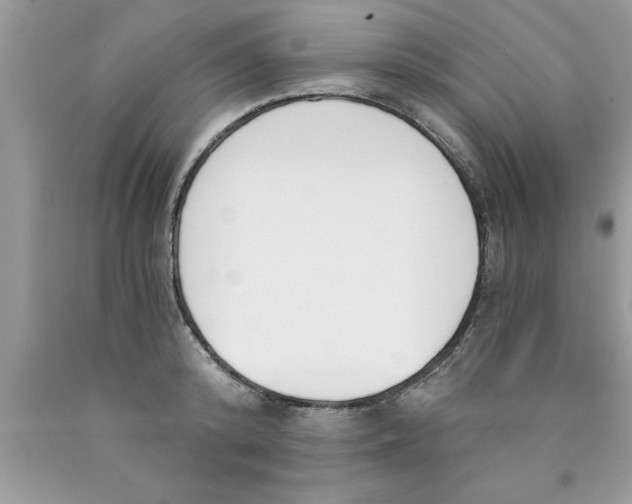 X0000089850800200707262106