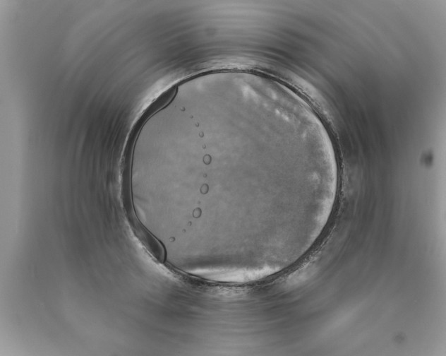 X0000089850802200707262106