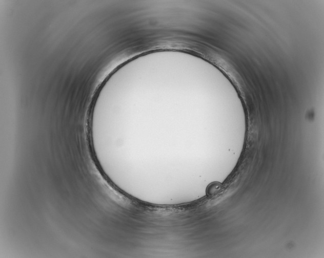 X0000089850803200707262106