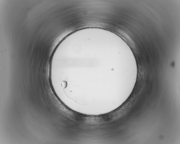 X0000089850804200707262106