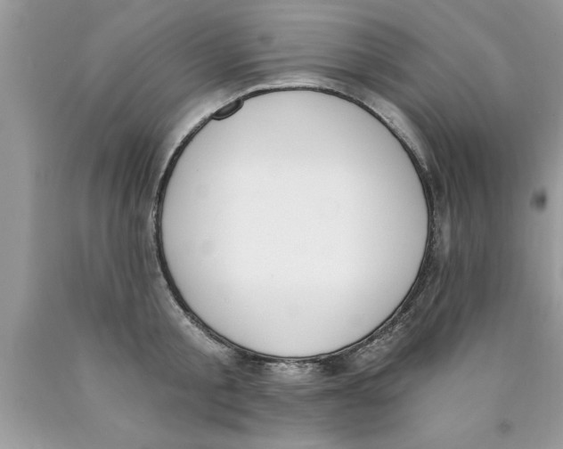 X0000089850805200707262106