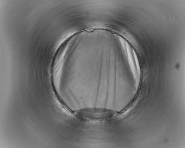 X0000089850806200707262106